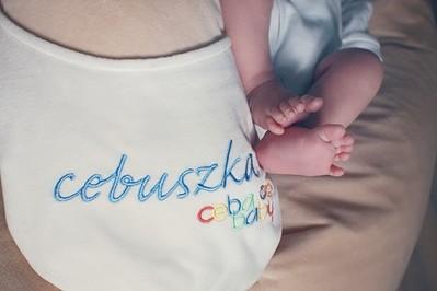 Czy Cebuszka spełnia swoje zadanie?