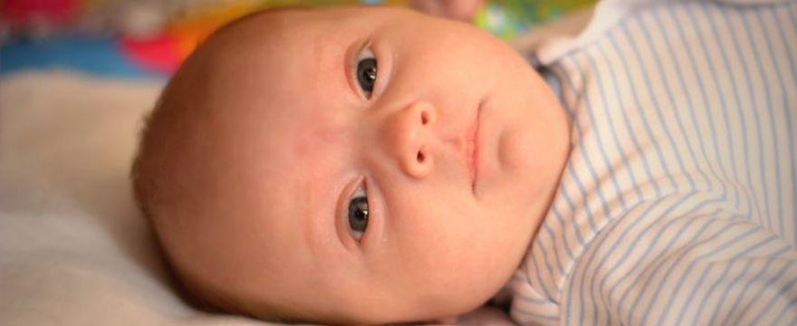 Poranna toaleta maluszka