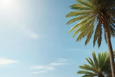 Co można robić na Gran Canaria z dziećmi?