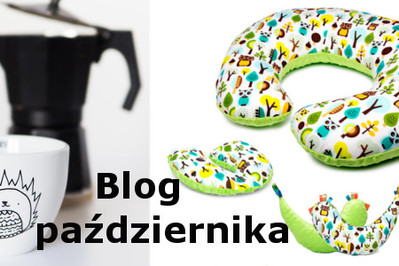 BLOG PAŹDZIERNIKA – WYNIKI