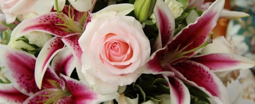 Potrzebujesz prezentu na ostatnią chwilę? Zobacz nasze pomysły