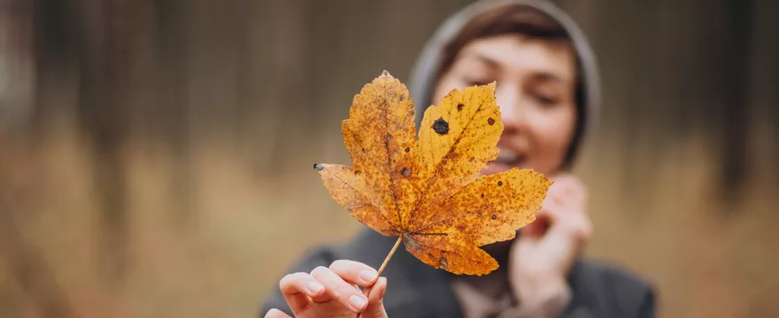Październikowe rekomendacje redakcji