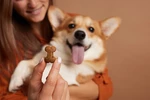 article icon