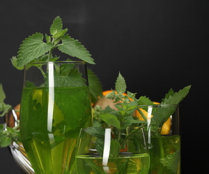 Mojito